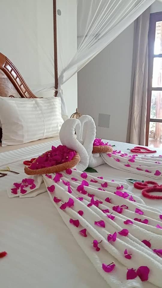 Africa Dream Bungalow Kiwengwa Otel Kiwengwa  Dış mekan fotoğraf